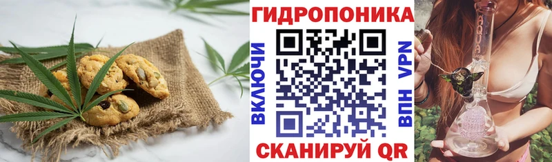 Еда ТГК конопля  Купить закладки  Шилка 