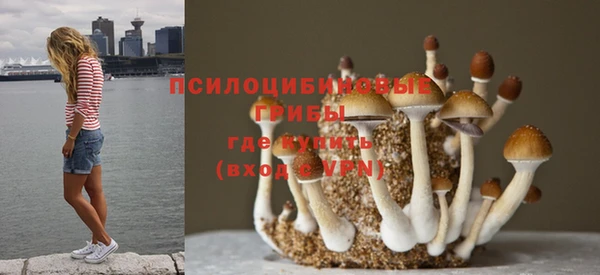 крисы Михайлов