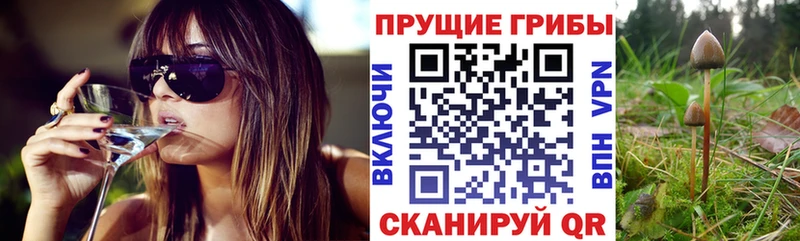 Псилоцибиновые грибы Magic Shrooms  Купить закладки  Шилка 