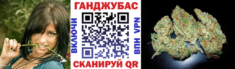 Купить где  Шилка  Конопля марихуана 